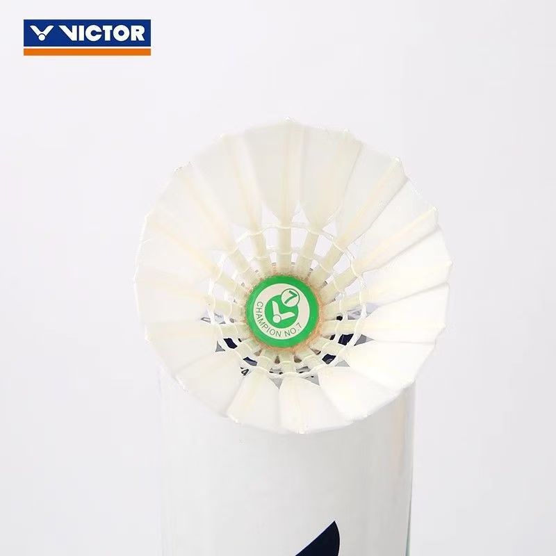 Lotki do badmintona VICTOR Cha – Victor Shuttlecock Feather recenzja i cena